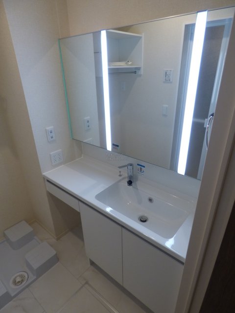 洗面設備　写真は別号室