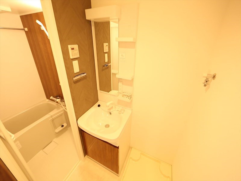 洗面設備　脱衣所　独立洗面台（シャンプードレッサー付）収納スペース有