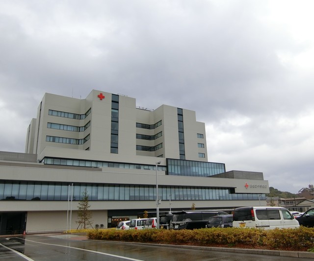 病院　高知赤十字病院（病院）まで1087m