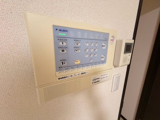レオネクストミドリソウのその他写真