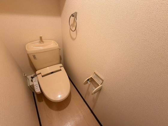 レオネクストミドリソウのトイレ写真