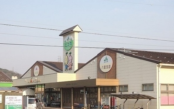 スーパー　Ａコープやくも店（スーパー）まで900m
