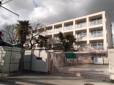 小学校　弥栄小学校（小学校）まで978m