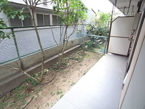 庭