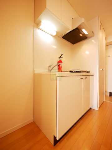 キッチン　メインステージ田端壱番館のキッチン