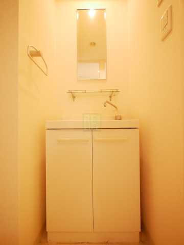 洗面設備　メインステージ田端壱番館の洗面所