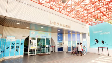 その他　しながわ水族館（その他）まで859m