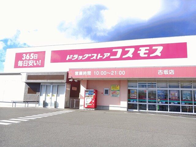 ドラックストア　コスモス（ドラッグストア）まで250m