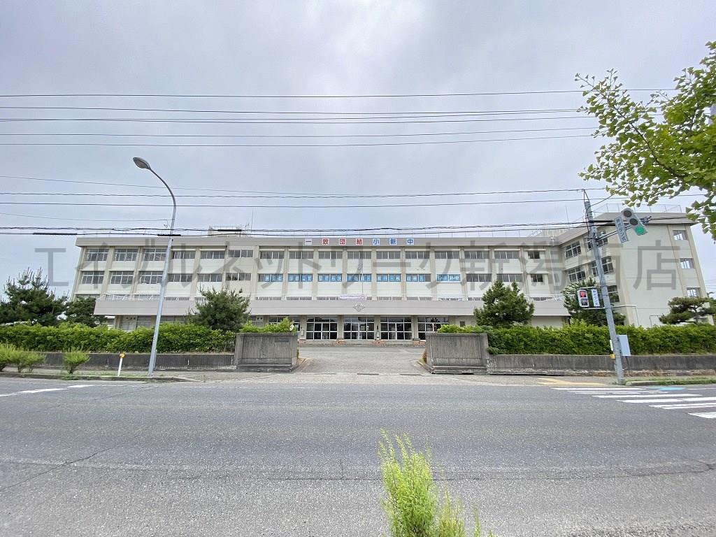 中学校　新潟市立小新中学校（中学校）まで493m