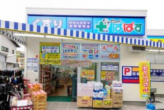 ドラックストア　どらっぐぱぱす下落合店（ドラッグストア）まで308m