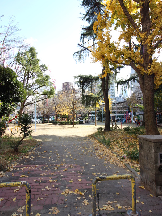公園　公園（公園）まで125m