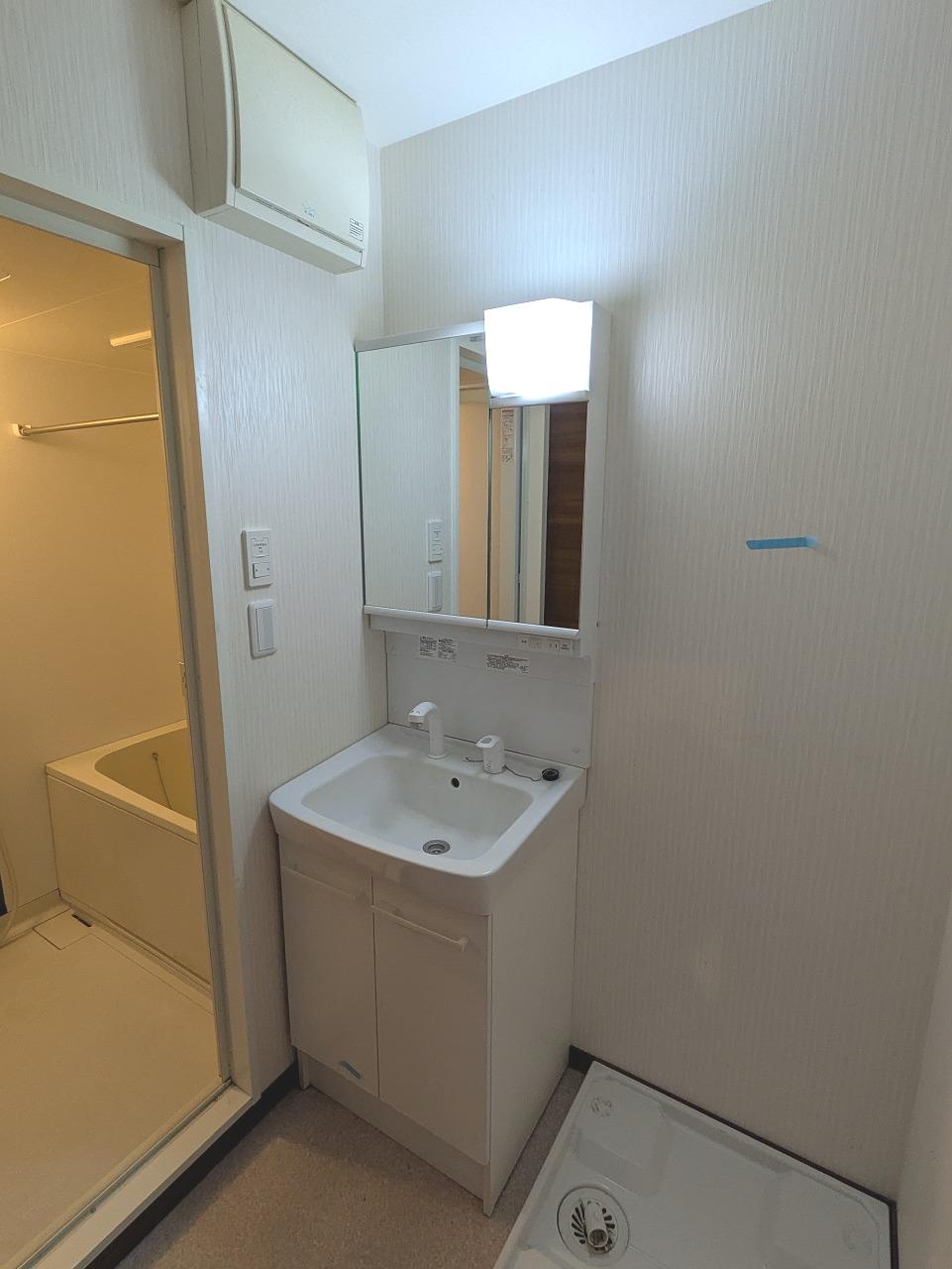 洗面設備　同タイプ反転の写真です