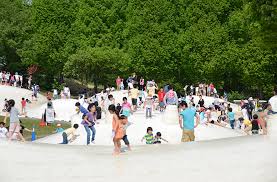 公園　国営昭和記念公園（公園）まで1196m