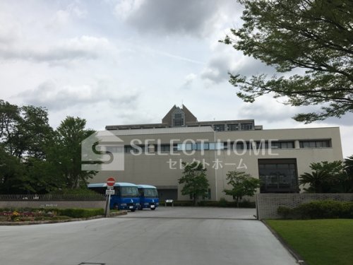 大学・短大　私立愛知学泉大学（大学・短大）まで1195m