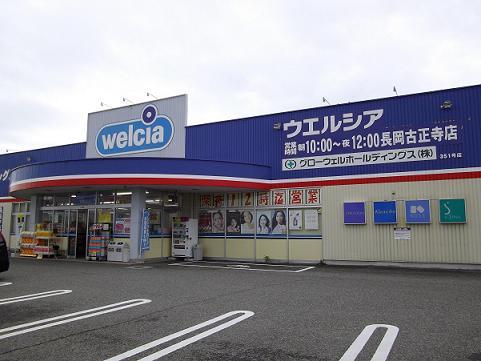 ドラックストア　ウエルシア（ドラッグストア）まで166m