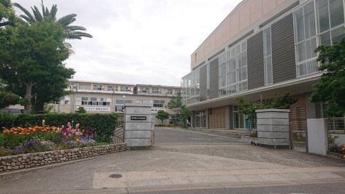 中学校　半田市立乙川中学校（中学校）まで520m