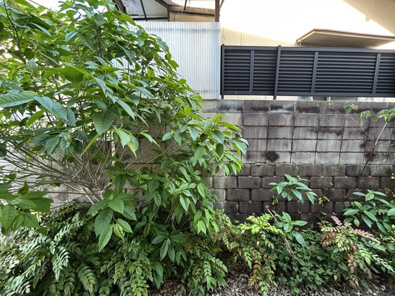 眺望　※別号室の写真です。