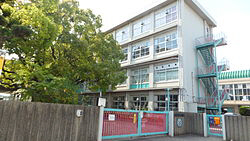 小学校　別府小学校（小学校）まで568m