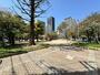 公園　堀江公園（公園）まで944m