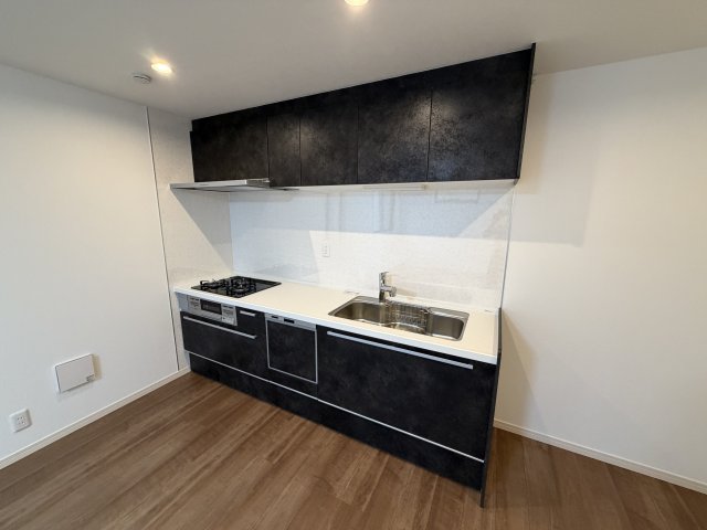 QualitiA上十条戸建のキッチン写真