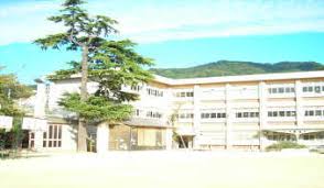 小学校　神戸市立本山第一小学校（小学校）まで94m
