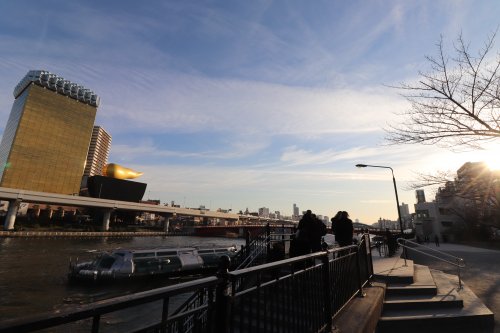 公園　区立隅田公園（公園）まで1066m