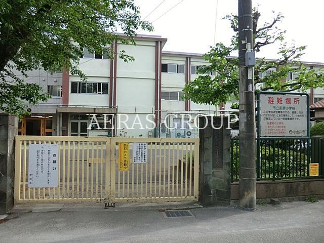 小学校　小金井市立前原小学校（小学校）まで650m