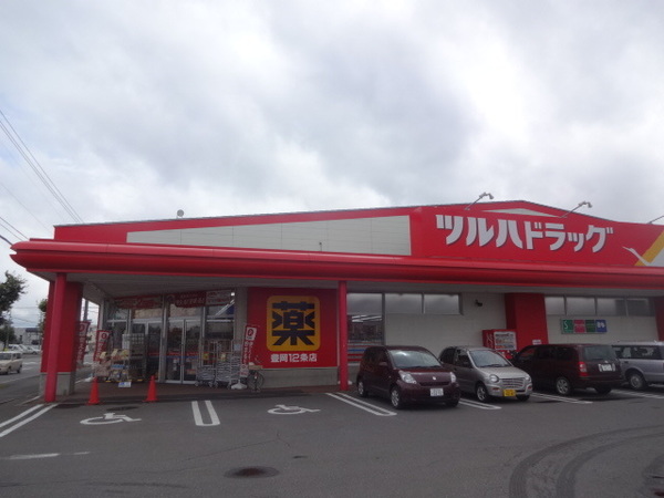 ドラックストア　調剤薬局ツルハドラッグ豊岡１２条（ドラッグストア）まで613m