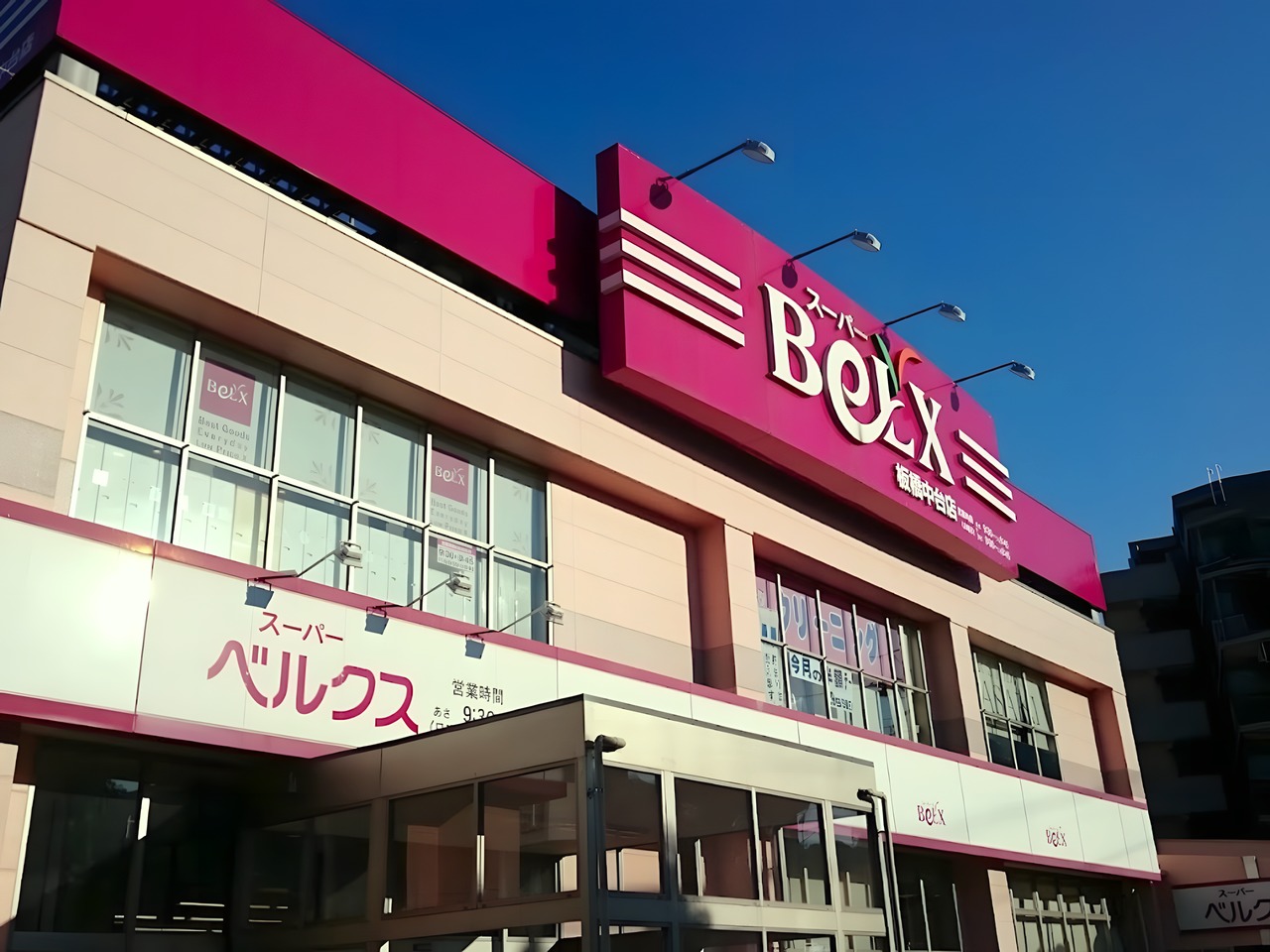 スーパー　スーパーベルクス 板橋中台店（スーパー）まで100m