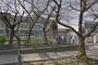 小学校　太田小学校（小学校）まで1116m