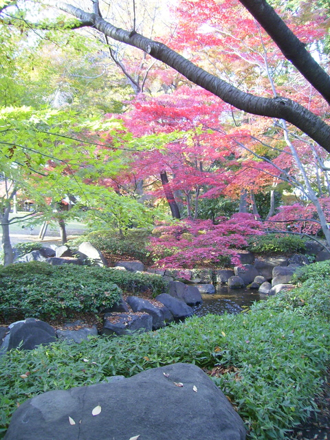 その他　大田黒公園（その他）まで940m