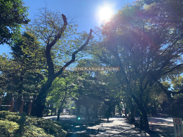 公園　大塚公園（公園）まで405m