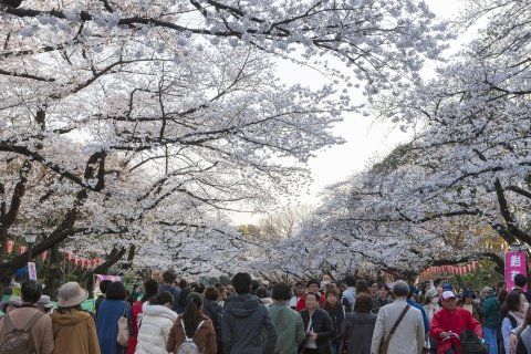 プラティーク馬事公苑の周辺写真
