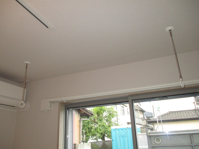 Efforia triaのその他写真