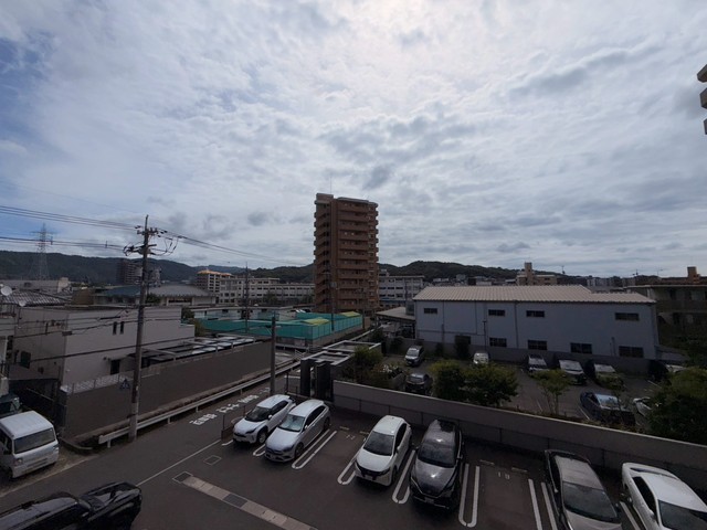 sunflowerのその他写真