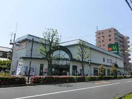 スーパー　マルエツ足立入谷店（スーパー）まで541m