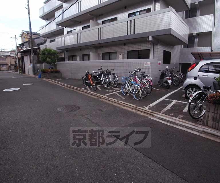 庭