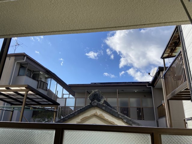 モナクヴィラウエバのその他写真
