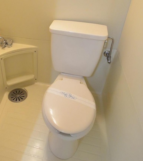 トイレ　他号室のお写真です