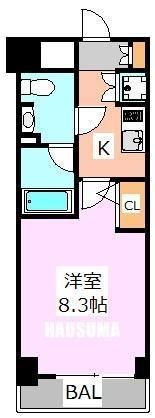 サンパレス駒込壱番館の間取り写真