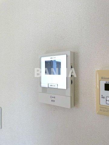 プリムラ Eのその他写真