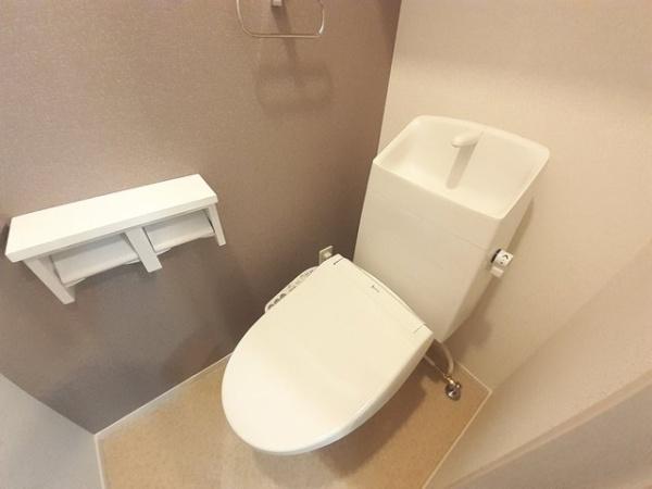 近鉄南大阪線 高鷲駅 徒歩35分 2階建 築4年のトイレ写真