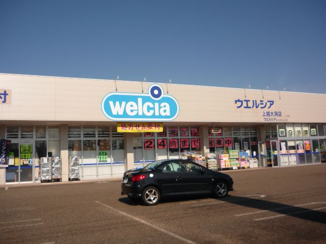 ドラックストア　ウェルシア　上越大潟店（ドラッグストア）まで140m