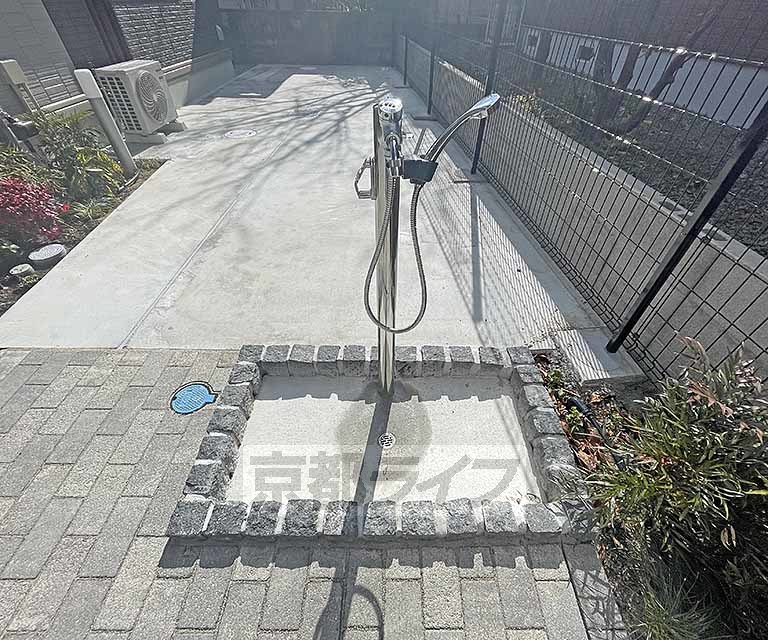 庭
