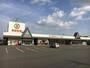 スーパー　新鮮市場花高松店（スーパー）まで1197m