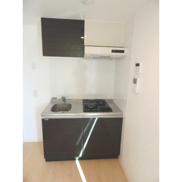 キッチン　(同物件同タイプ部屋写真) システムキッチン ２口コンロ