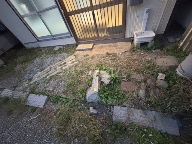 庭
