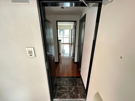 玄関　※別部屋の写真です