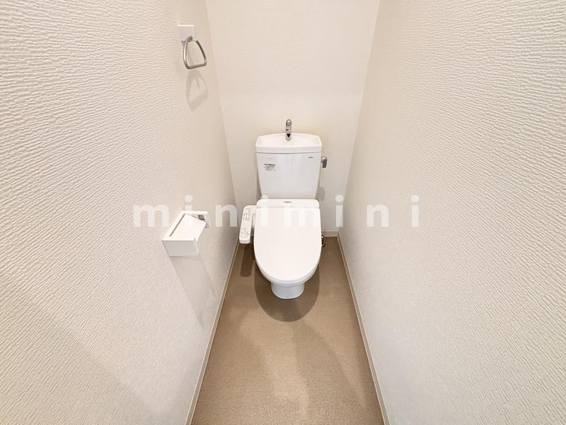 エントランス　※写真は別号室のものですので現状優先させていただきます。