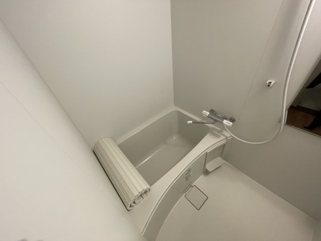 バス・シャワールーム　別号室の参考写真です